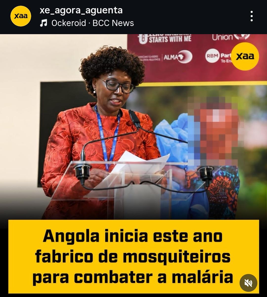 Carta Aberta aos Angolanos: O Labirinto da Sobrevivência, a Fábrica de Mosquitos e o Imperativo do Comprometimento